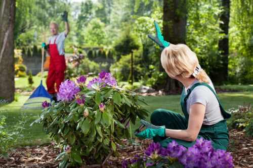 Professional gardeners working safely outdoors