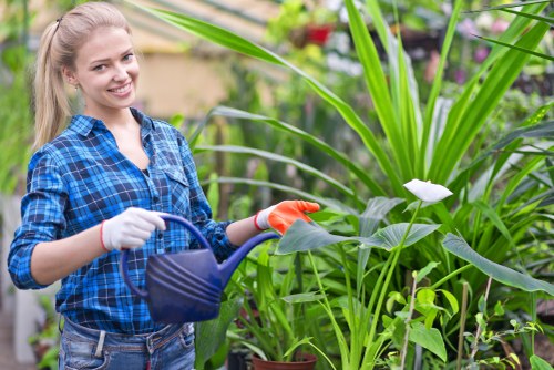 Gardeners in Waddon improving a healthy front garden