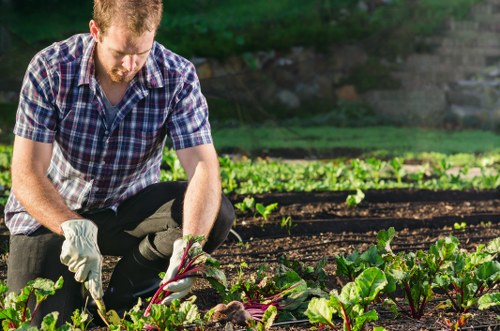 Gardening services in Waddon for neat and healthy outdoor spaces