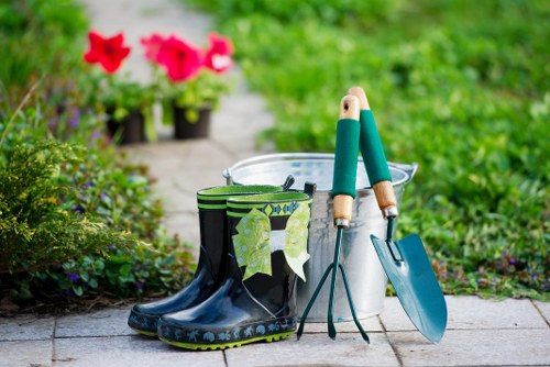 Professional lawn maintenance in Waddon outdoors