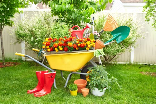 Professional garden maintenance in Waddon for neat outdoor spaces
