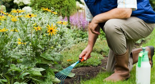 Inclusive website experience for local garden services