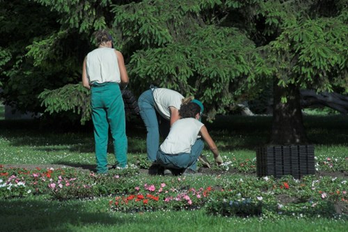 Professional lawn and hedge maintenance in Waddon garden