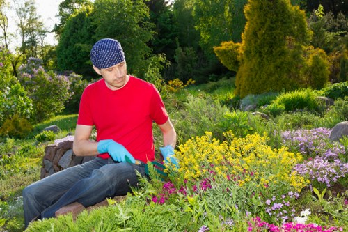 Professional lawn mowing equipment used in a Waddon outdoor space
