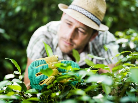 Emergency preparedness in professional gardening