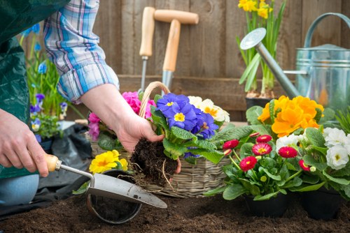 Soft landscaping and planting in a Waddon residential garden