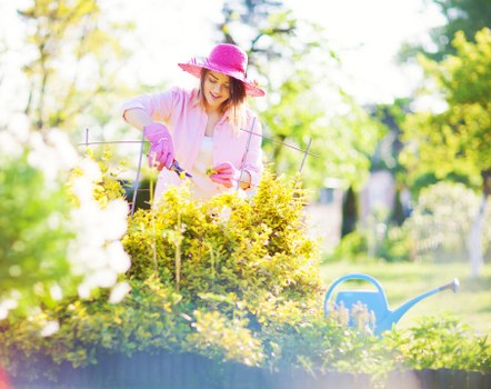 Gardening complaint assessment and service records