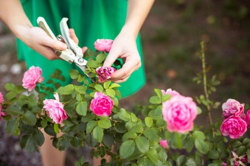 Garden maintenance tasks in Waddon including hedge trimming and weeding