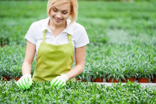About Us Gardeners Waddon delivering reliable garden maintenance