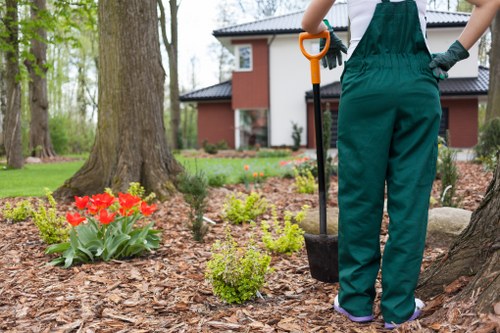 Front garden tidy-up example near a busy Waddon street