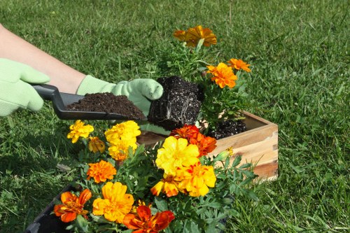 Accessible browsing support for Gardeners Waddon