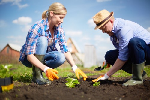 Local gardeners in Waddon maintaining lawns, hedges, and borders