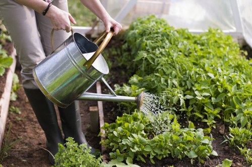 Gardeners Waddon reporting channels for safeguarding concerns