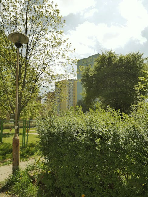 A garden scene featuring a variety of greenery including a large, dense shrub with small leaves in the foreground, alongside a paved pathway bordered by grass. To the left, a tall, slender streetlamp