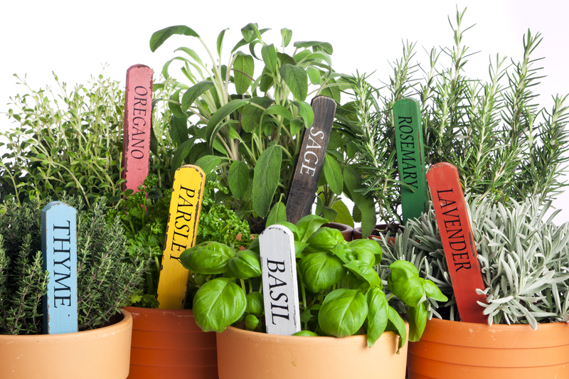 lawn repair Garden