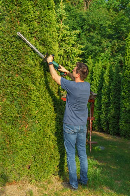 Garden maintenance for homes near Waddon Station